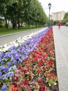 Colourful flowerbeds
