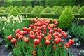 Colourful Flowerbeds.