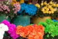 Colourful flowers