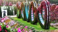Colourful flowers designed in heart shape in Miracle garden,Dubai