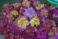 Colourful flowers and garlands for sale at the little India street, butterworth, Penang Royalty Free Stock Photo