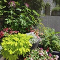 Colourful flowers and plants in pots in the garden Royalty Free Stock Photo