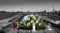 Flowers on the rails at Auschwitz Concentration Camp, Poland Royalty Free Stock Photo