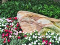 Colourful Flowers and Sandstone Rock in Garden Royalty Free Stock Photo