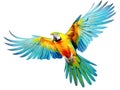 Ai Generated illustration Wildlife Concept of Colourful flying parrot