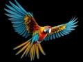 Ai Generated illustration Wildlife Concept of Colourful flying parrot