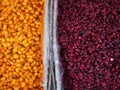 Colourful Fruit Market in Mongolia