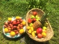 Colourful fruits Royalty Free Stock Photo