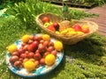 Colourful fruits Royalty Free Stock Photo