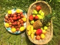 Colourful fruits Royalty Free Stock Photo