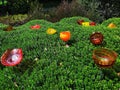 Colourful glass installation on a dense bushes