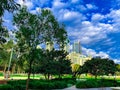 Colourful green park in Sydney with CBD office and residential buildings in the background