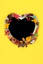 Colourful Heart Shaped Autumn Fall Floral Frame Royalty Free Stock Photo