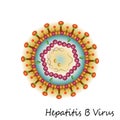 Colourful Hepatitis B Virus particle structure isolated