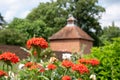 Colourful herbaceous border with red Silene Chalcedonica flowers in the foreground, at Eastcote House Gardens, London UK.