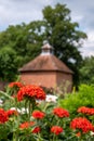 Colourful herbaceous border with red Silene Chalcedonica flowers in the foreground, at Eastcote House Gardens, London UK.