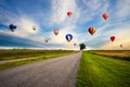 Colourful hot air balloons flying over cosmos flower field on sunset Royalty Free Stock Photo