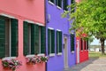 colourful houses in Burano, strong colours, curtain on front door, typical architecture, colourful geraniums under windows