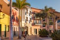 Colourful houses, palm on street Puerto de la Cruz town Tenerife Canary Islands