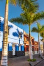 Colourful houses, palm on street Puerto de la Cruz town Tenerife Canary Islands Royalty Free Stock Photo