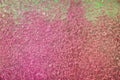 Colourful icy plexiglass structure background. Pink and green wall panel abstract texture. Frosted plastic glass Royalty Free Stock Photo