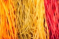 Colourful Italian pasta tagliatelle made from traditional recipe