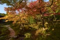 Colourful Japanese Garden in Ginkaku-ji Temple Kyoto during sunset in autumn season