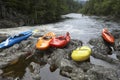 Portrait of Colourful kayaks by river