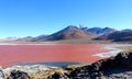 The colourful Laguna Colorada, Salar de Uyuni, Bolivia