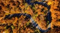 Colourful landscape with rural road, trees with yellow leaves