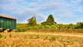 Colourful landscape of the sunrise with barn, vineyard and geraniums, panoramic, copy space Royalty Free Stock Photo