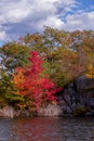 Colourful leaves at Beausoleil Island, Ontario, Canada