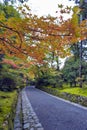 Colourful leaves in Japanese garden in Kyoto during autumn