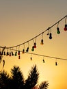 Colourful Light Bulbs and Palm Trees at Sunset