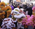 Colourful Lion Costumes in the Chinese New Year parade