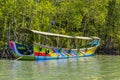 A colourful longtail speed boat moored up in a mangrove swamp close to Phang Nga Bay, Thailand Royalty Free Stock Photo