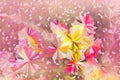 Colourful lovely crystallize abstract flowers background in past