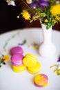 Morning cup of coffee, cake macaron and flower on light background from above. Beautiful breakfast. Flat lay style. Royalty Free Stock Photo