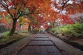 Colourful Maple Tree Tunnel at Bishamondo Temple in Autumn, Kyoto, Japan