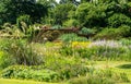 Colourful mature garden influenced by the naturalistic planting at Bressingham Gardens, Diss, Norfolk UK