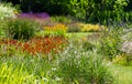 Colourful mature garden influenced by the naturalistic planting ethos, at Bressingham Gardens, Diss, Norfolk UK