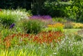 Colourful mature garden influenced by the naturalistic planting ethos, at Bressingham Gardens, Diss, Norfolk UK