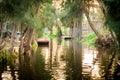 Colourful Mexico Xochimilco's Floating Gardens in Mexico City.