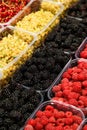 Colourful mix of different fresh berries at market. Raspberries, blackberries, whitecurrants and redcurrants. Royalty Free Stock Photo