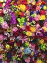Colourful mix flowers decoration wall