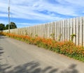 Colourful Montbretia plants flowering on a road verge