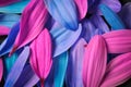 Colourful multi coloured flower petals Royalty Free Stock Photo