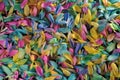 Colourful multi coloured flower petals Royalty Free Stock Photo