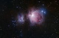 Colourful Orion Nebula Royalty Free Stock Photo