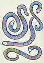 Colored hand drawn picture of patterned snakes.